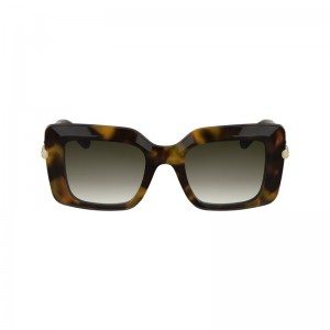 Longchamp Acetate Women Sunglasses Brown / Green | Australia-563MXILTA