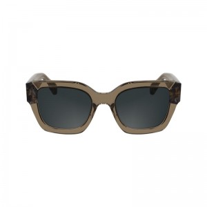 Longchamp Acetate Women Sunglasses Brown | Australia-162XKMOFT