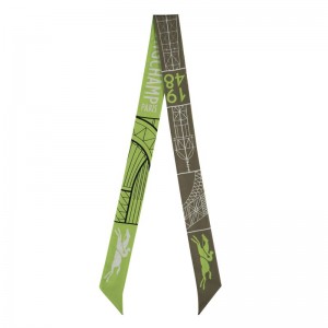 Longchamp Eiffel Tower 1948 Women Headband Olive / Multicolor | Australia-856DWJQPY