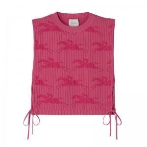 Longchamp Knit Women Top Pink | Australia-496QHXZOK