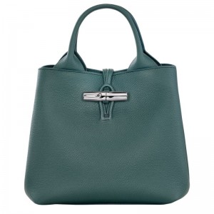 Longchamp Le Roseau S Women Handbag Blue Green | Australia-912IAVORD