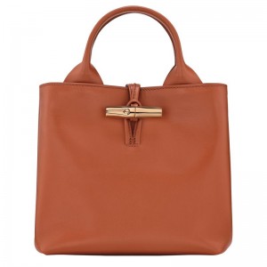 Longchamp Le Roseau S Women Handbag Orange | Australia-798ITVHYX