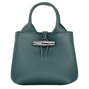 Longchamp Le Roseau Xs Women Handbag Blue Green | Australia-254BLTDOE