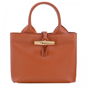 Longchamp Le Roseau Xs Women Handbag Orange | Australia-961FUARBN