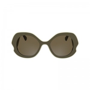 Longchamp Plant Based Resin Women Sunglasses Olive / Multicolor | Australia-435KXDSWI