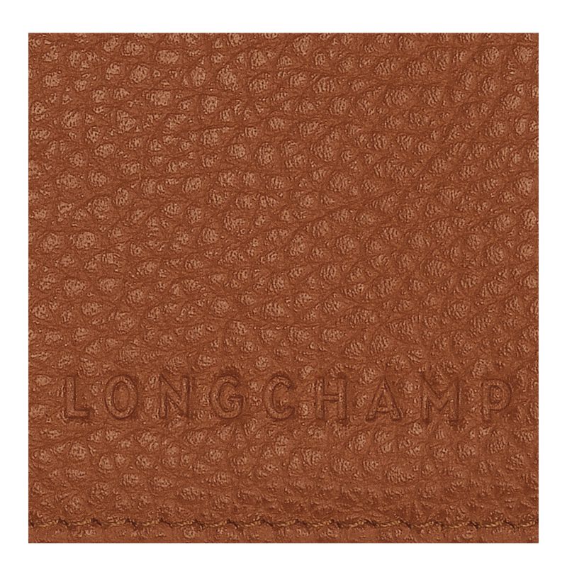 Longchamp Le Foulonné Men Passport Holder Brown | Australia-349MRPIAC