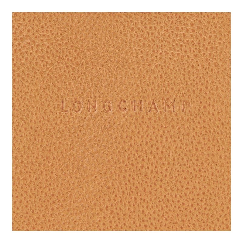 Longchamp Le Foulonné S Women Crossbody Bag Brown | Australia-348UGHOZT
