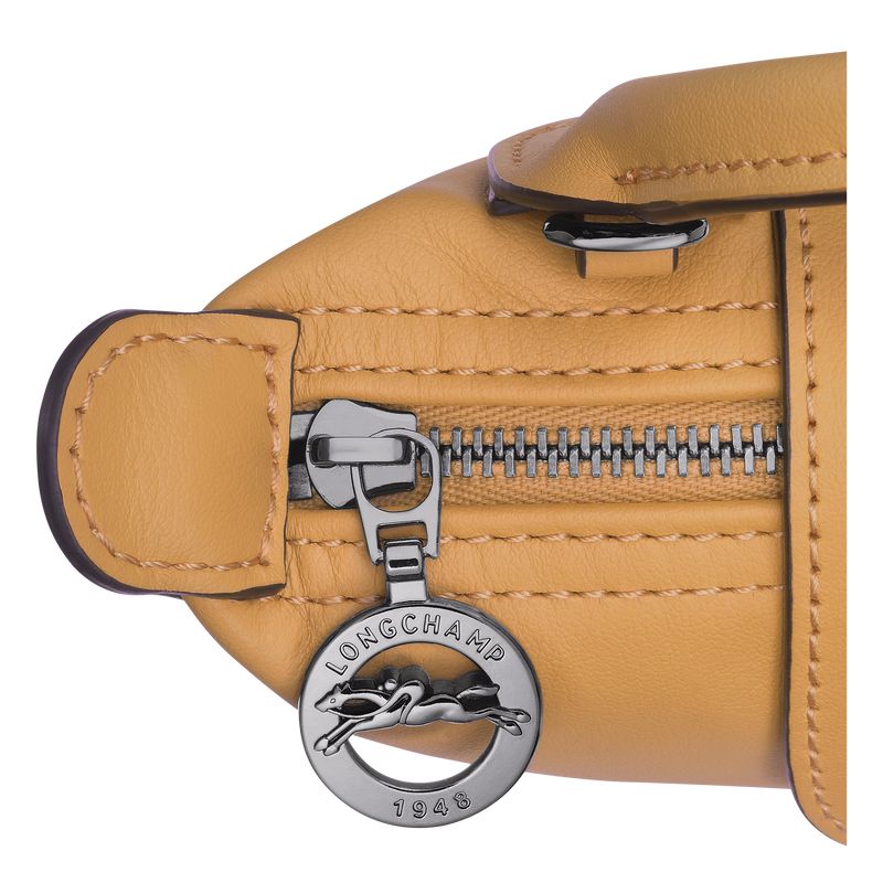 Longchamp Le Pliage Xtra Xs Women Pouch Orange | Australia-250QLRYTU