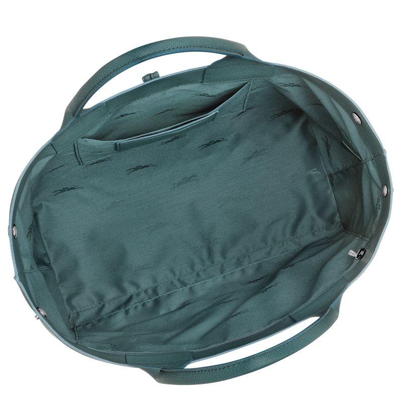 Longchamp Le Roseau L Women Handbag Blue Green | Australia-817IUNXDQ