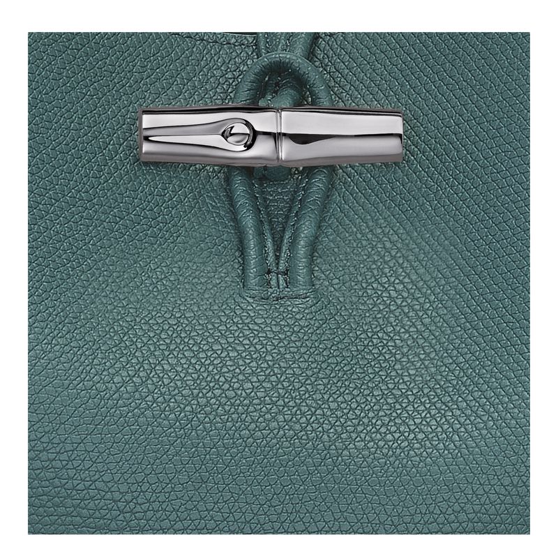 Longchamp Le Roseau M Women Shoulder Bag Blue Green | Australia-492ARBYEG