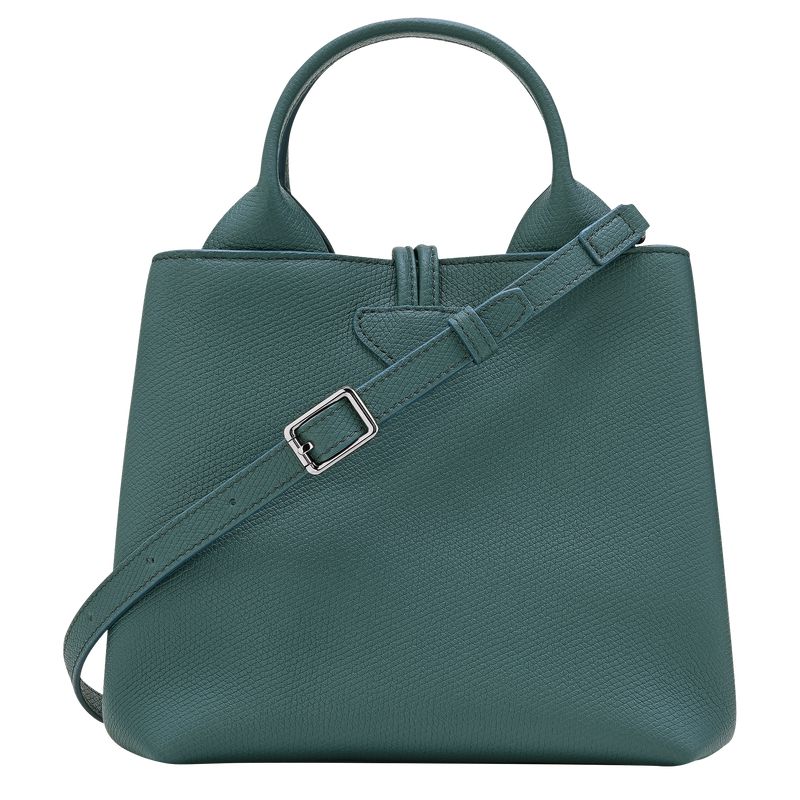 Longchamp Le Roseau S Women Handbag Blue Green | Australia-912IAVORD