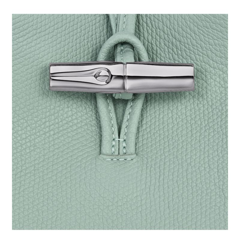 Longchamp Le Roseau Women Phone Case Blue Green | Australia-058EDPSJR